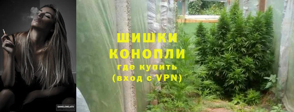 трава Зерноград