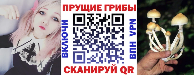 Купить  Гвардейск  Галлюциногенные грибы ЛСД 